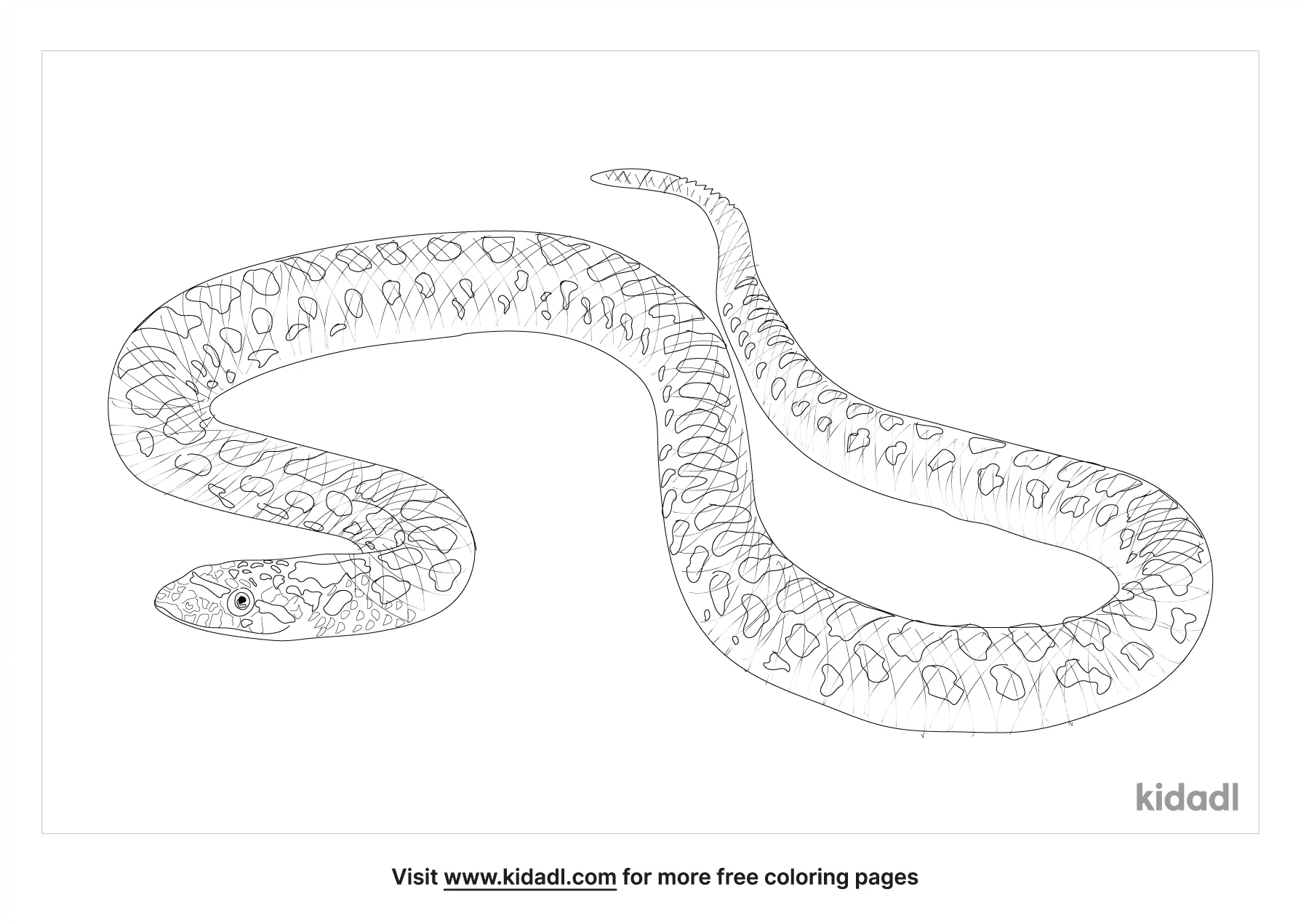 Free Glossy Snake Coloring Page | Coloring Page Printables | Kidadl