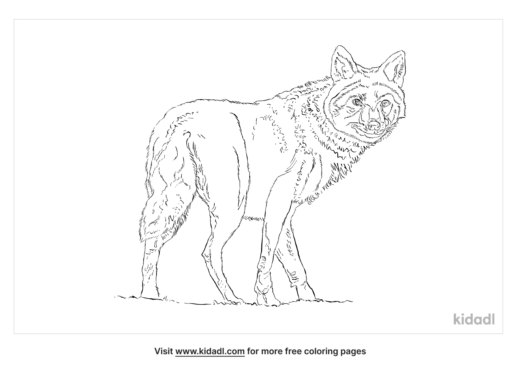 jackal coloring page