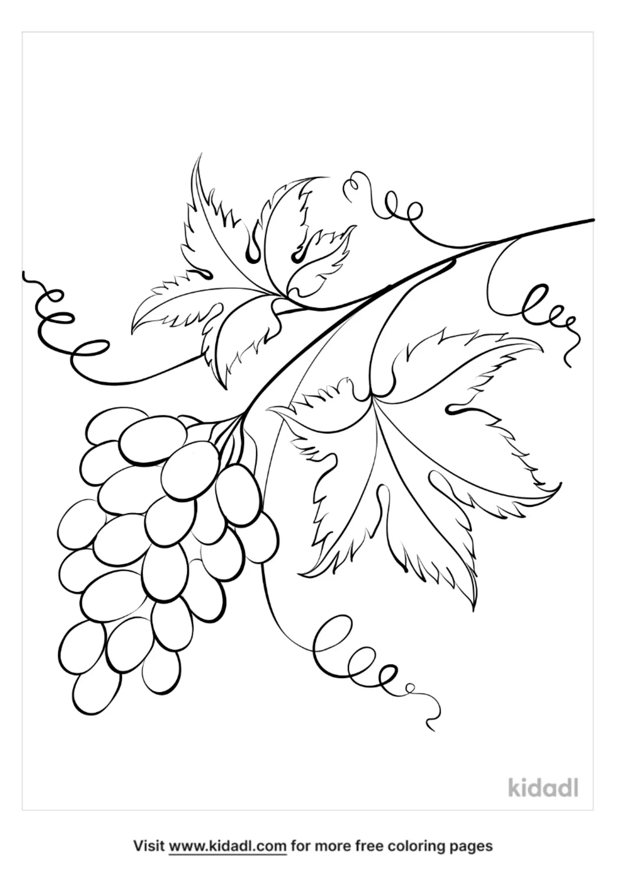 Grape Vine Coloring Pages Free Plants Coloring Pages Kidadl