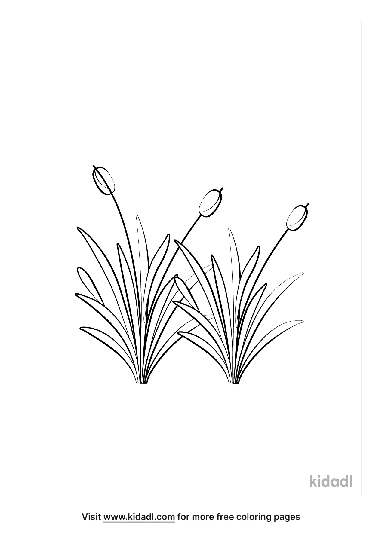 Grass Coloring Pages Free Nature Coloring Pages Kidadl