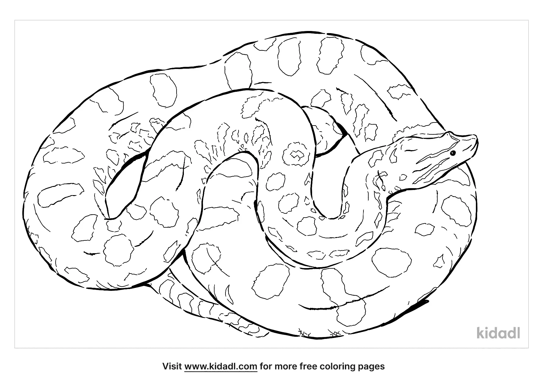 Mangrove Snake Coloring Page | Free Reptiles Coloring Page | Kidadl