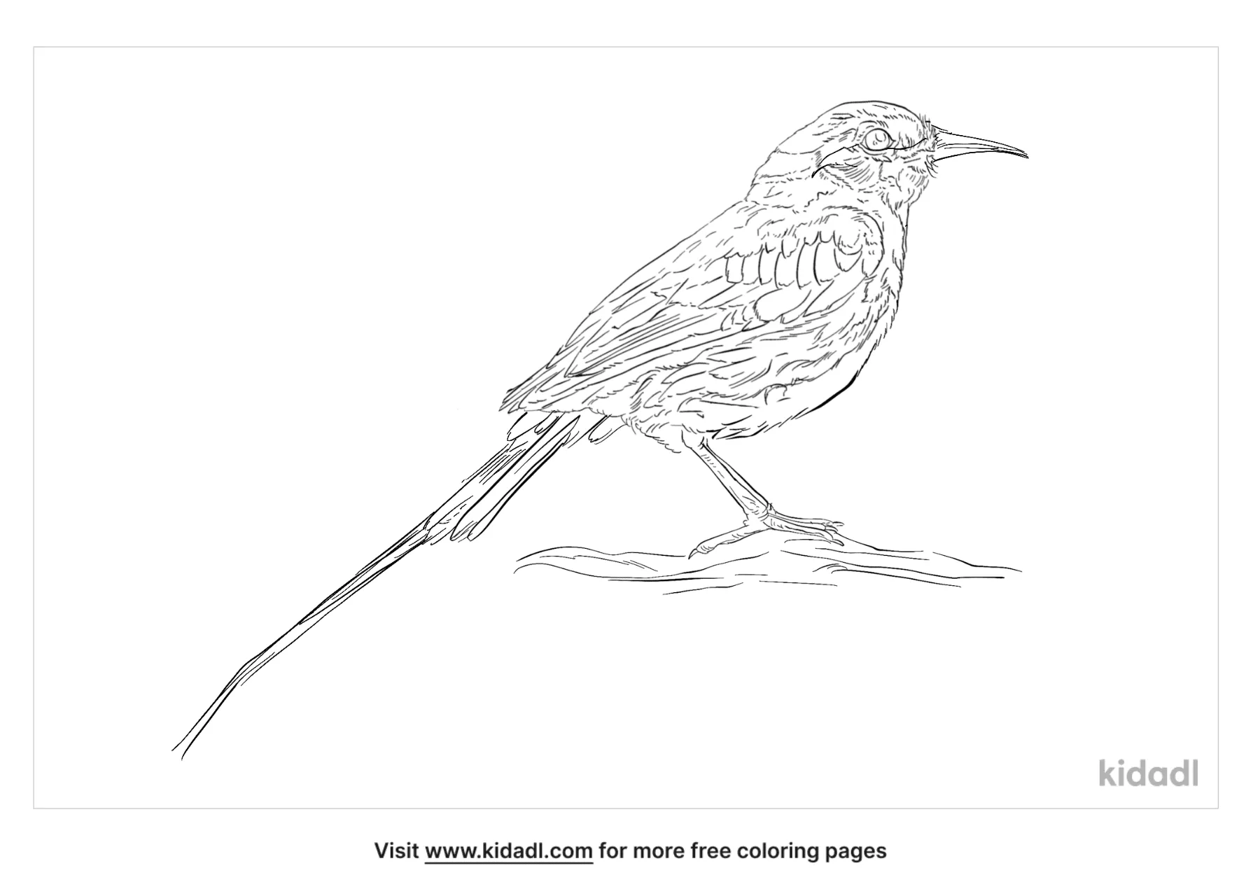 Green Bee-Eater Coloring Page