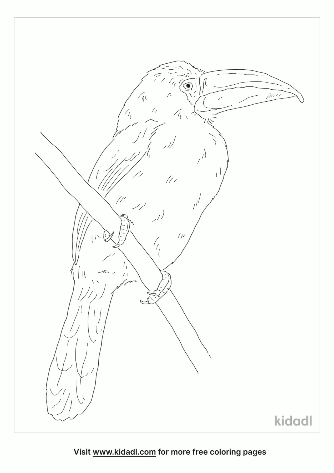 Dodo Bird Coloring Pages Free Animals Coloring Pages Kidadl