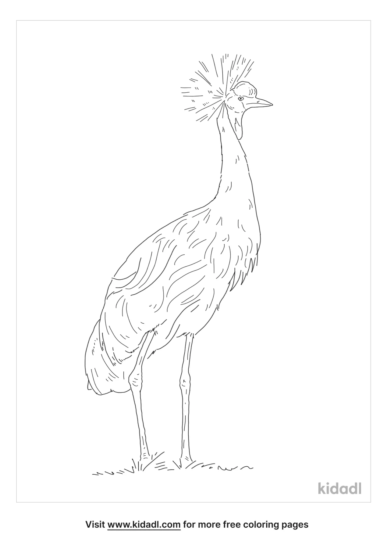 Grey Crowned Crane Coloring Page