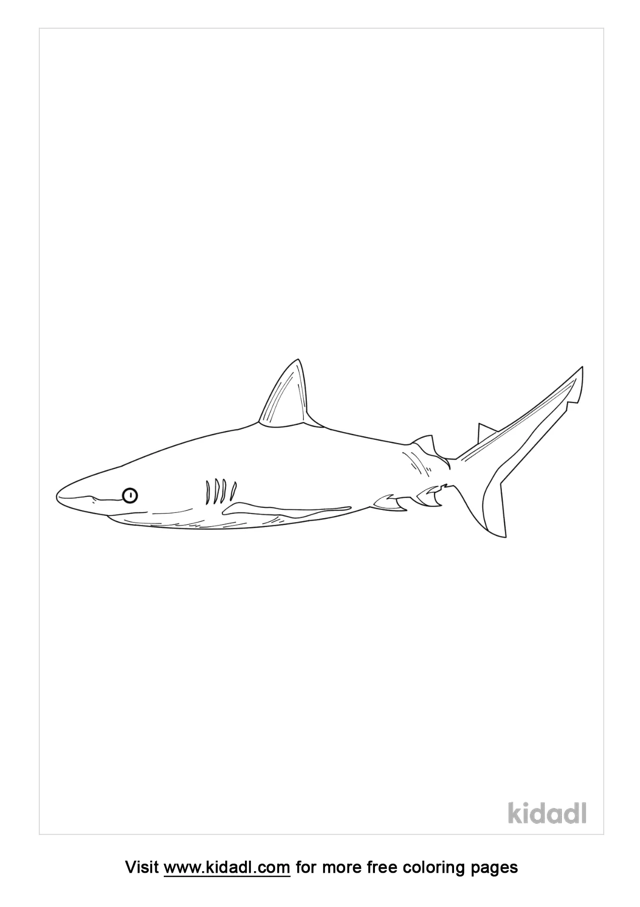 Grey Reef Shark Coloring Page