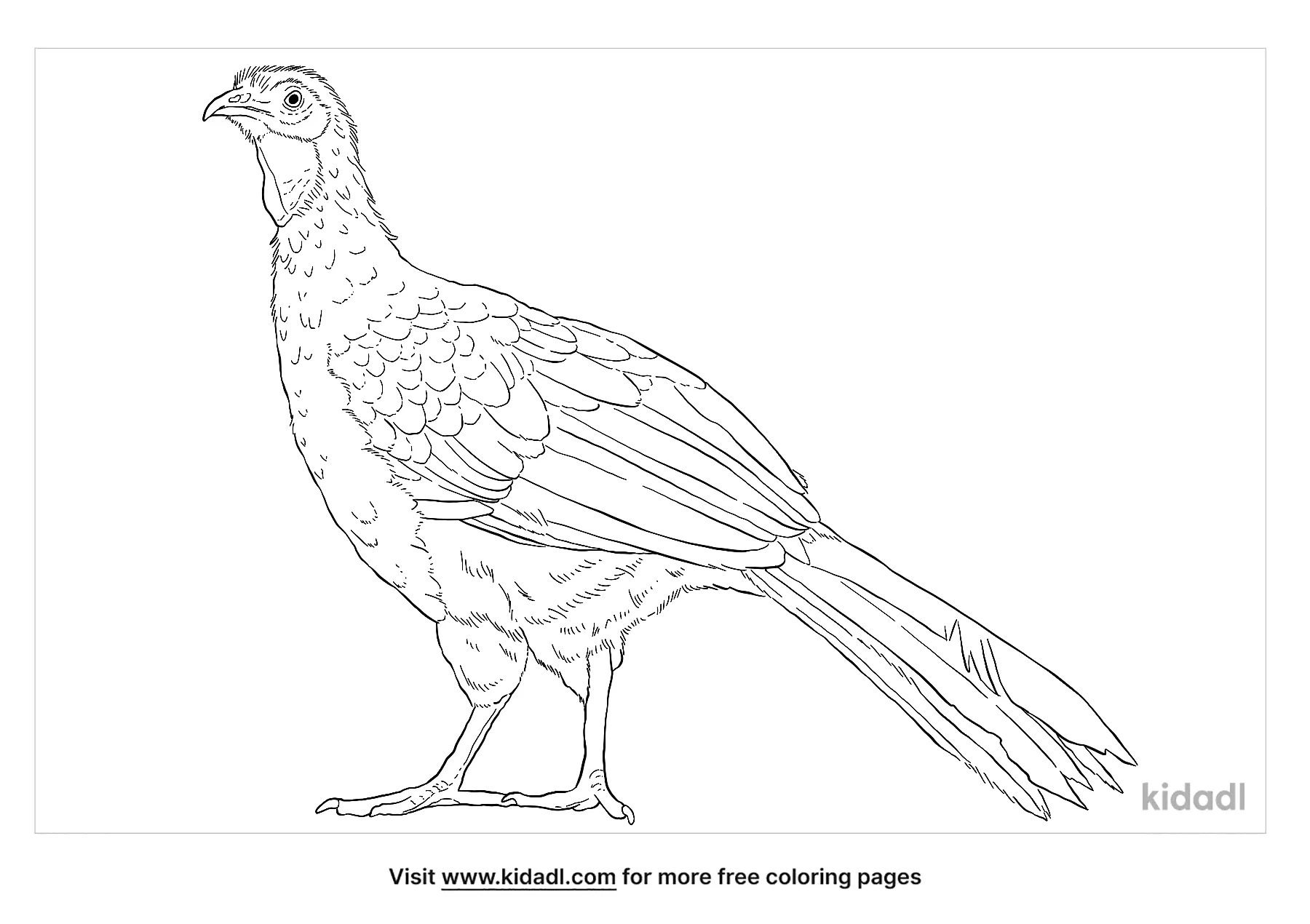 Guan Coloring Page
