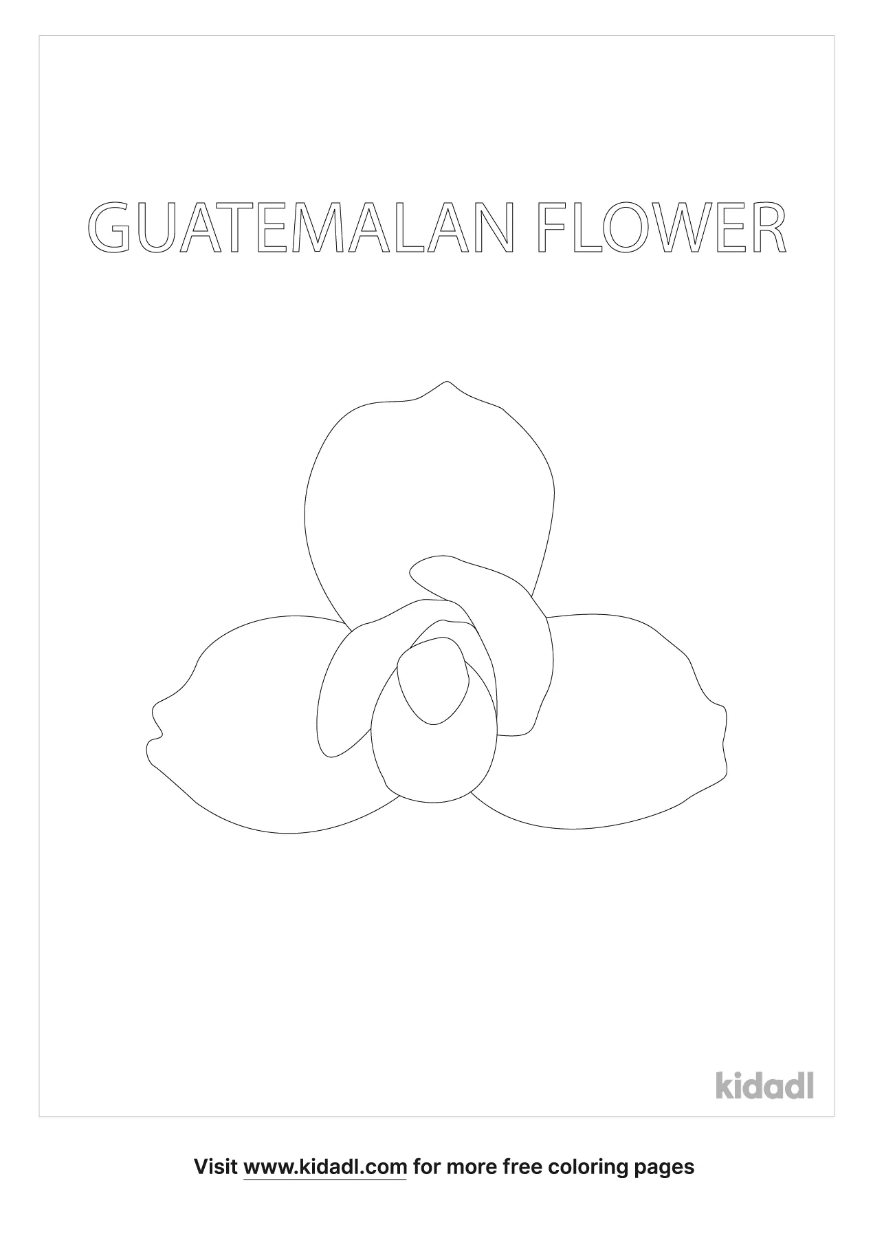 Guatemalan Flower Coloring Page | Free Flowers Coloring Page | Kidadl