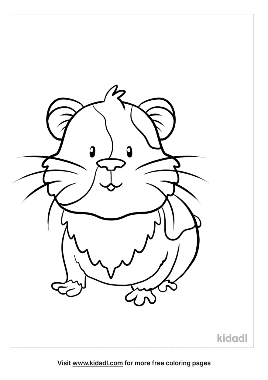 guinea pig coloring pages online