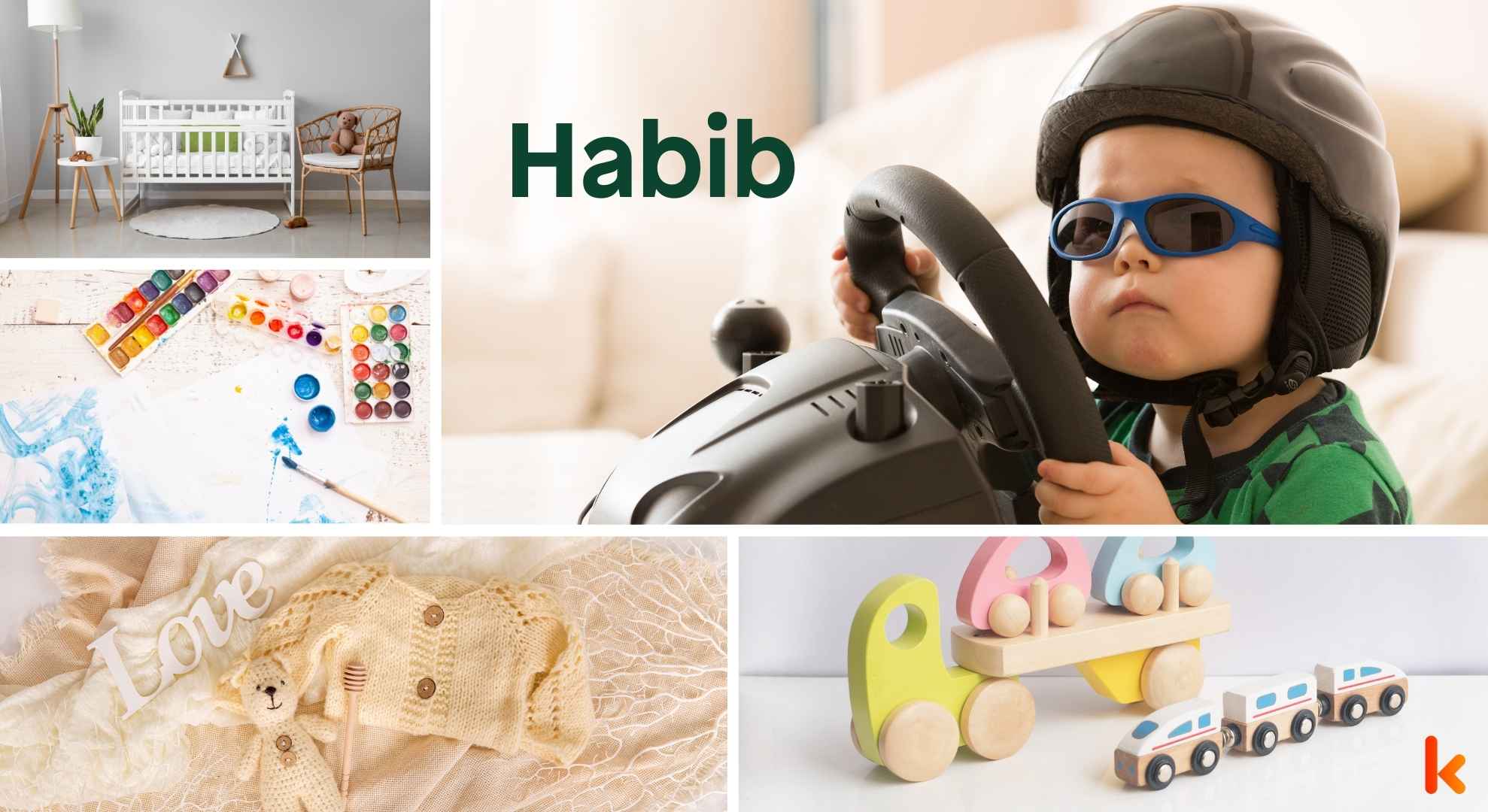 Meaning of the name Habib