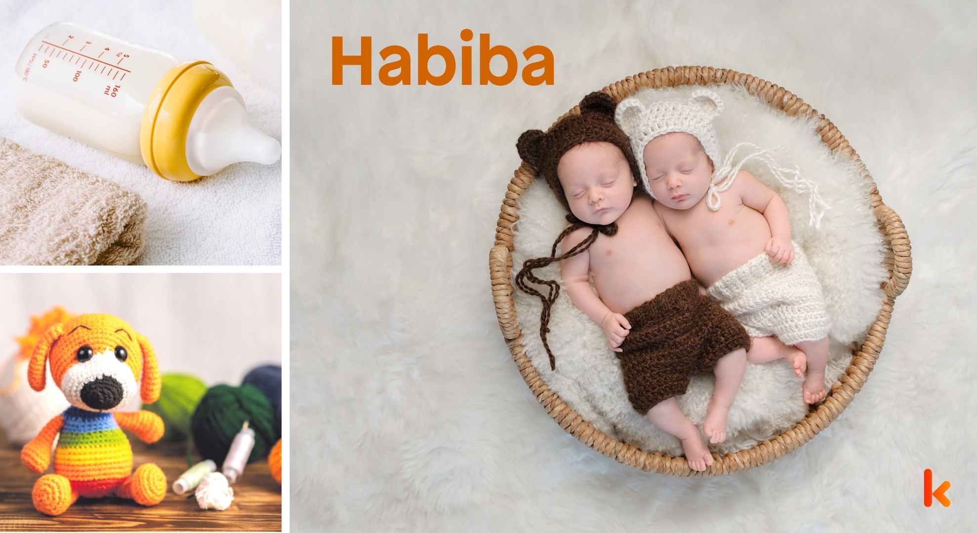 Meaning of the name Habiba