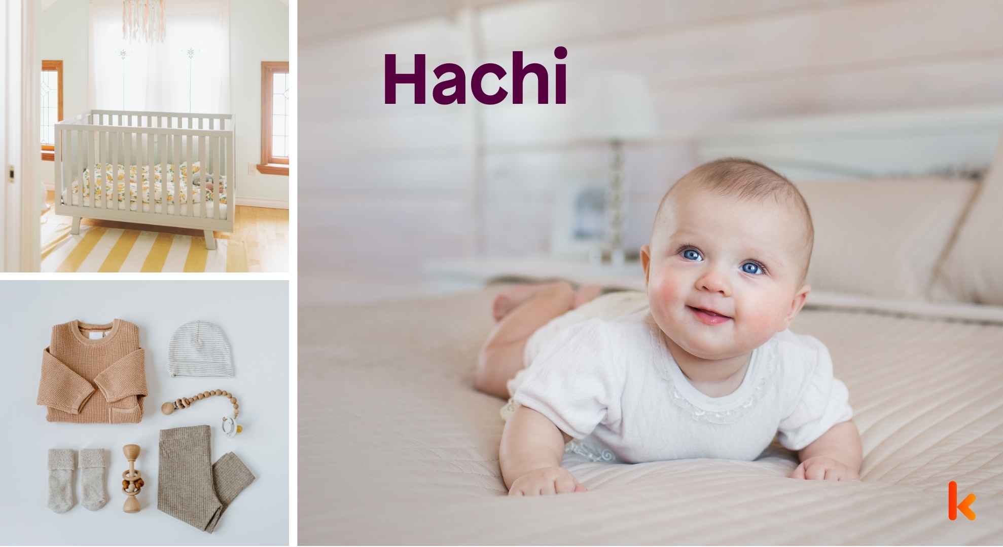 Meaning of the name Hachi