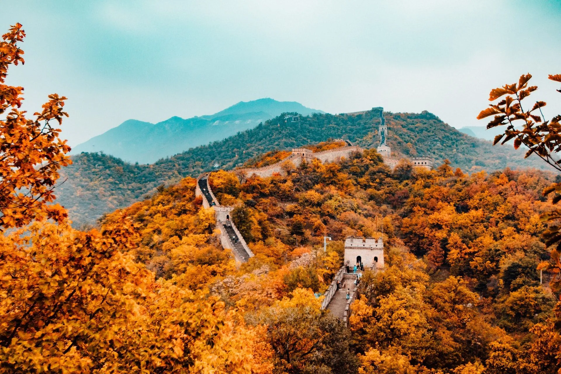 A spectacular orange view of Great Wall of China during autumn