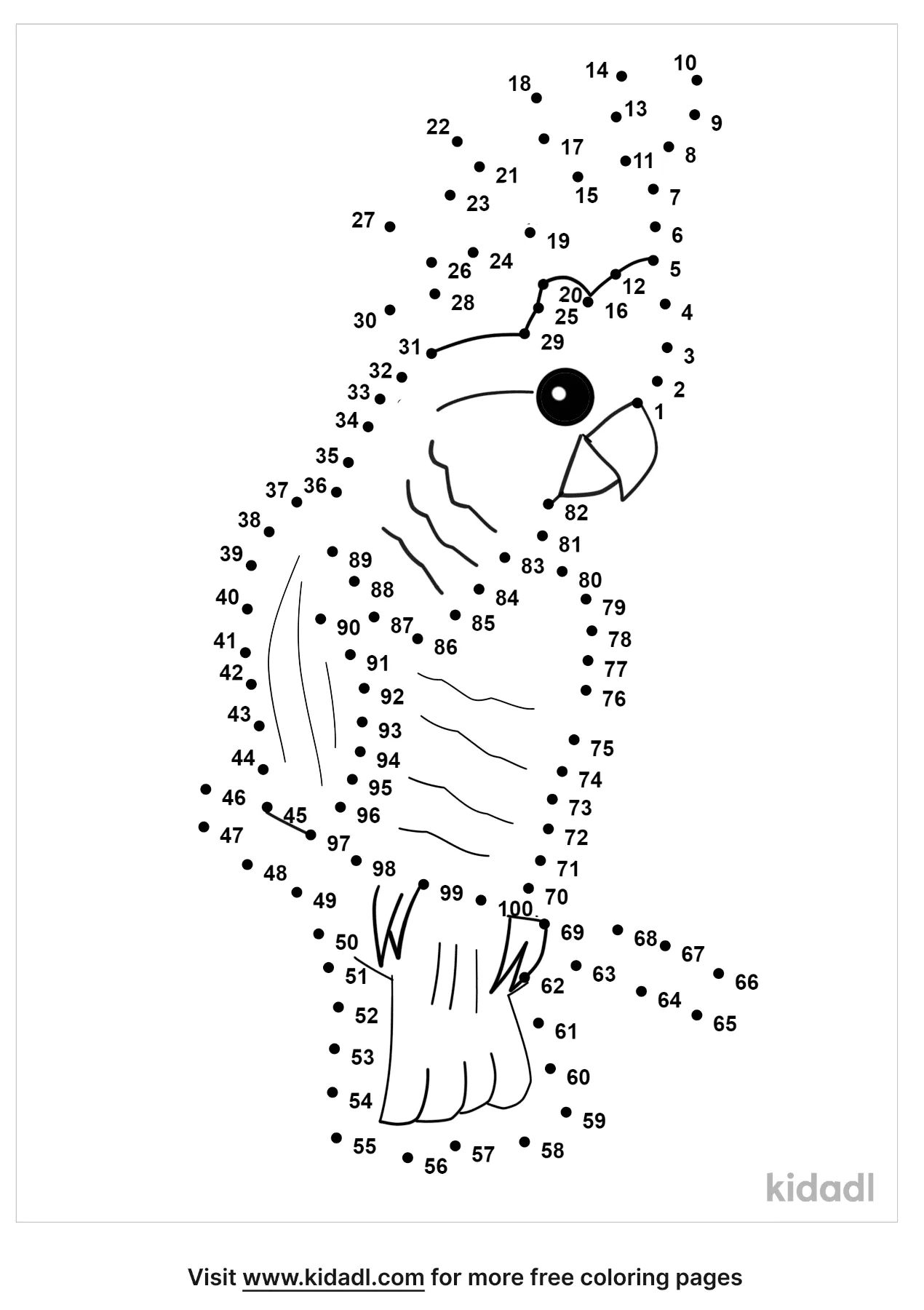 Document Acid Innovation Adult Dot To Dot Menagerry Young Lily