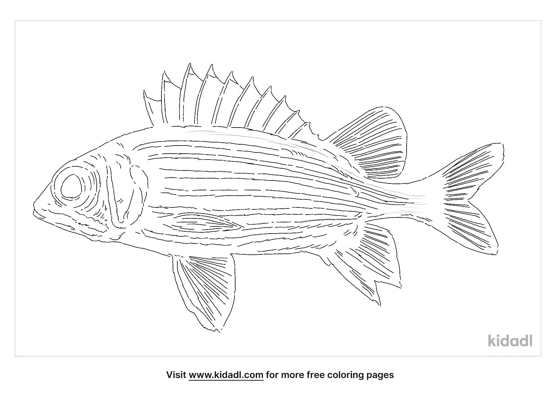 hawaii fish coloring pages