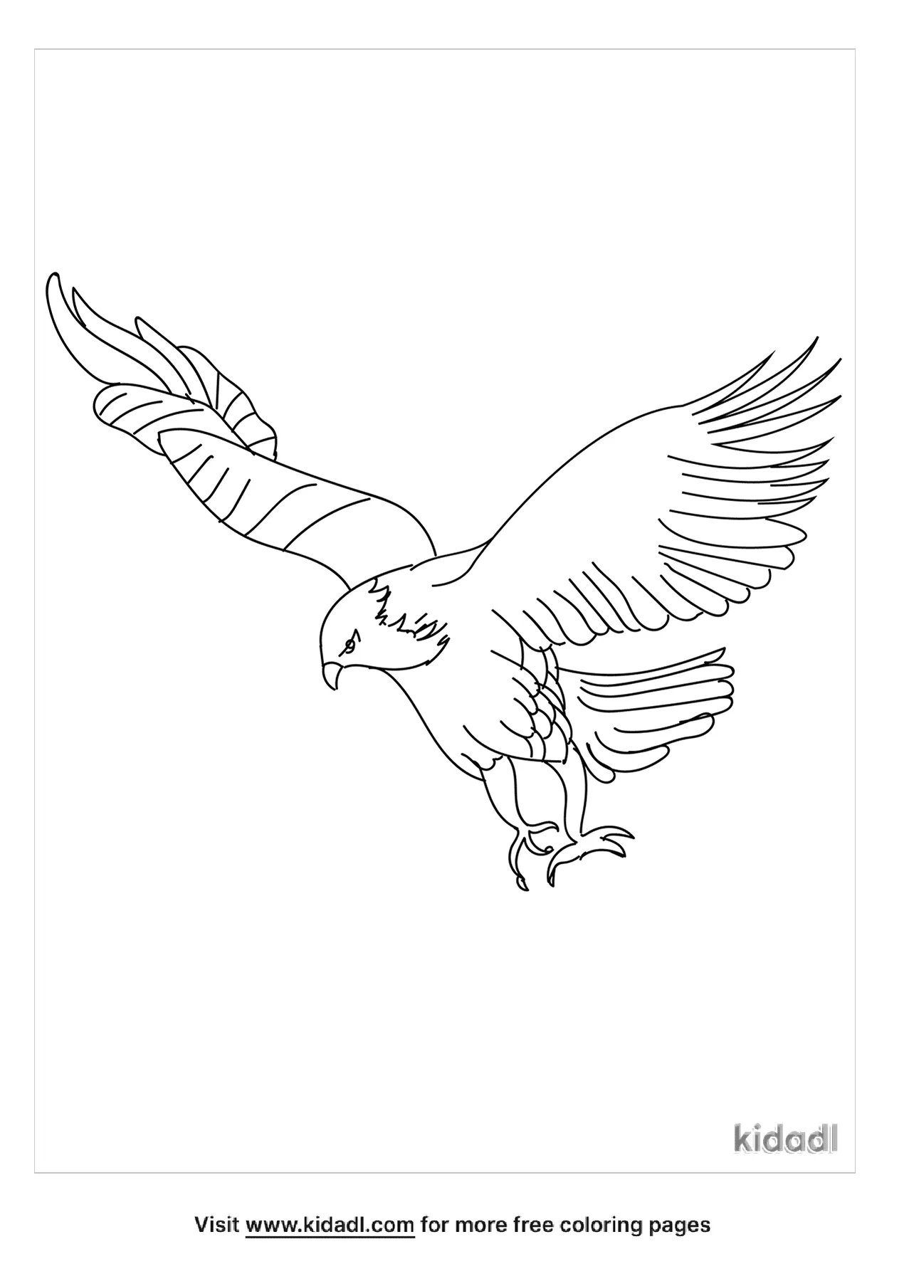 Hawk Coloring Pages Free Birds Coloring Pages Kidadl