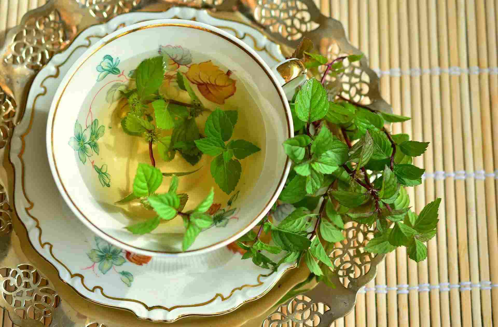 The leaves of fresh mint are of dark green color and are made used to make mint oil.