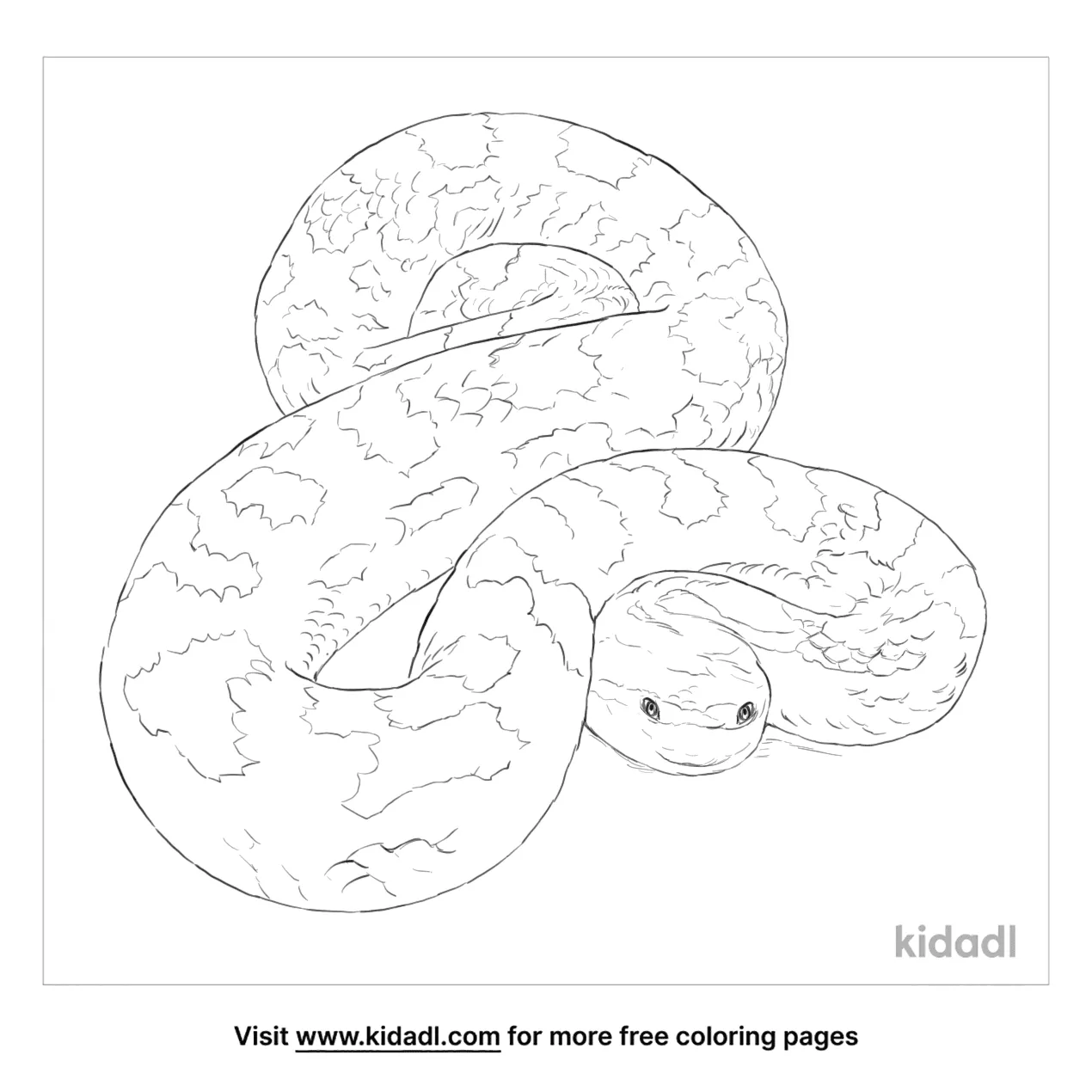 pit viper drawing