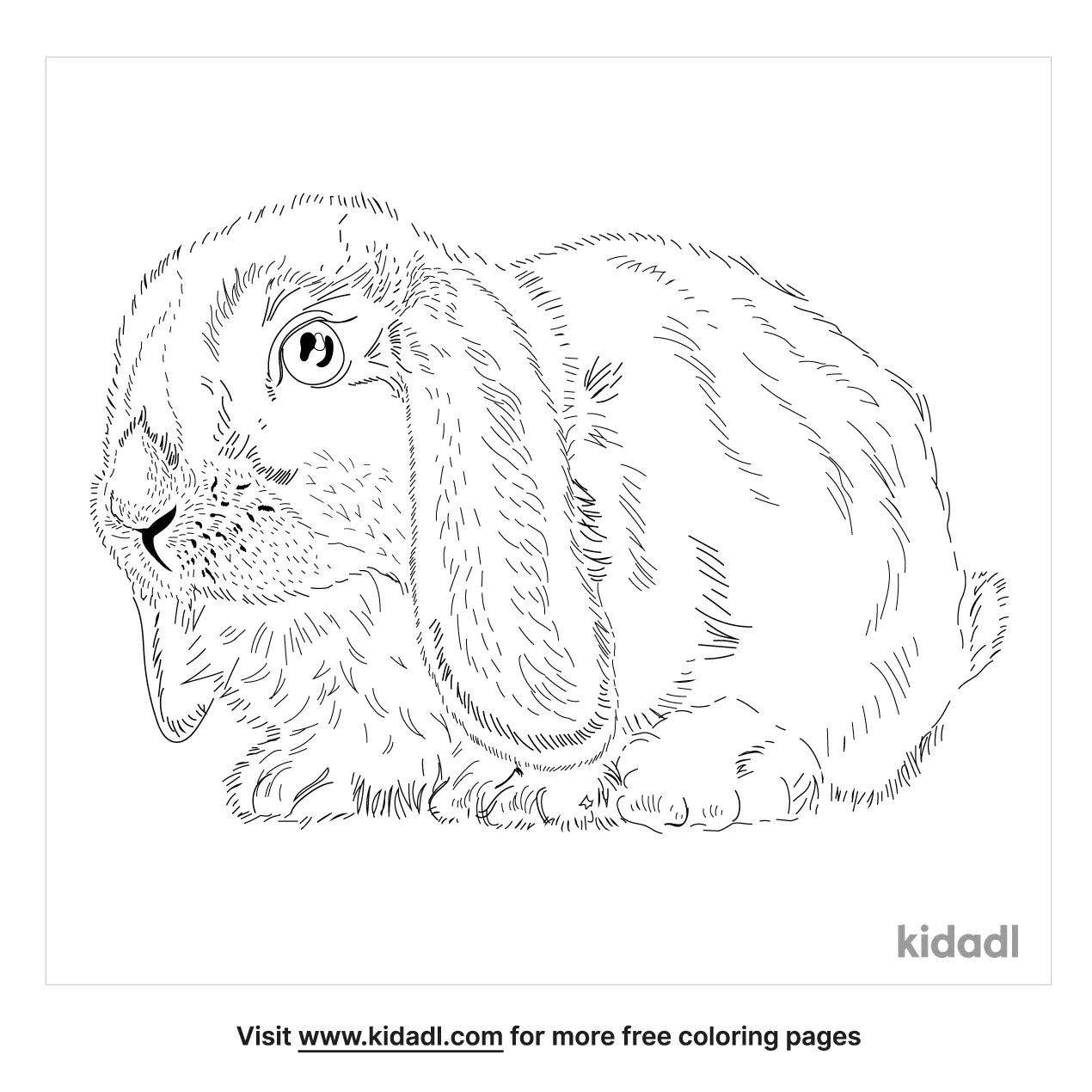 holland coloring pages
