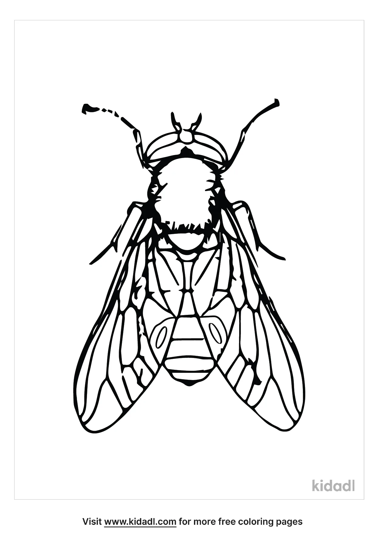 Housefly Coloring Page