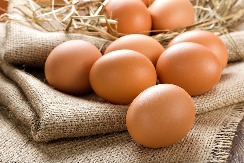 Eggs in farm.