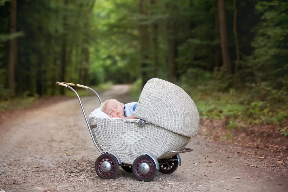 A newborn baby boy sleeping in a stroller in middle of the forest