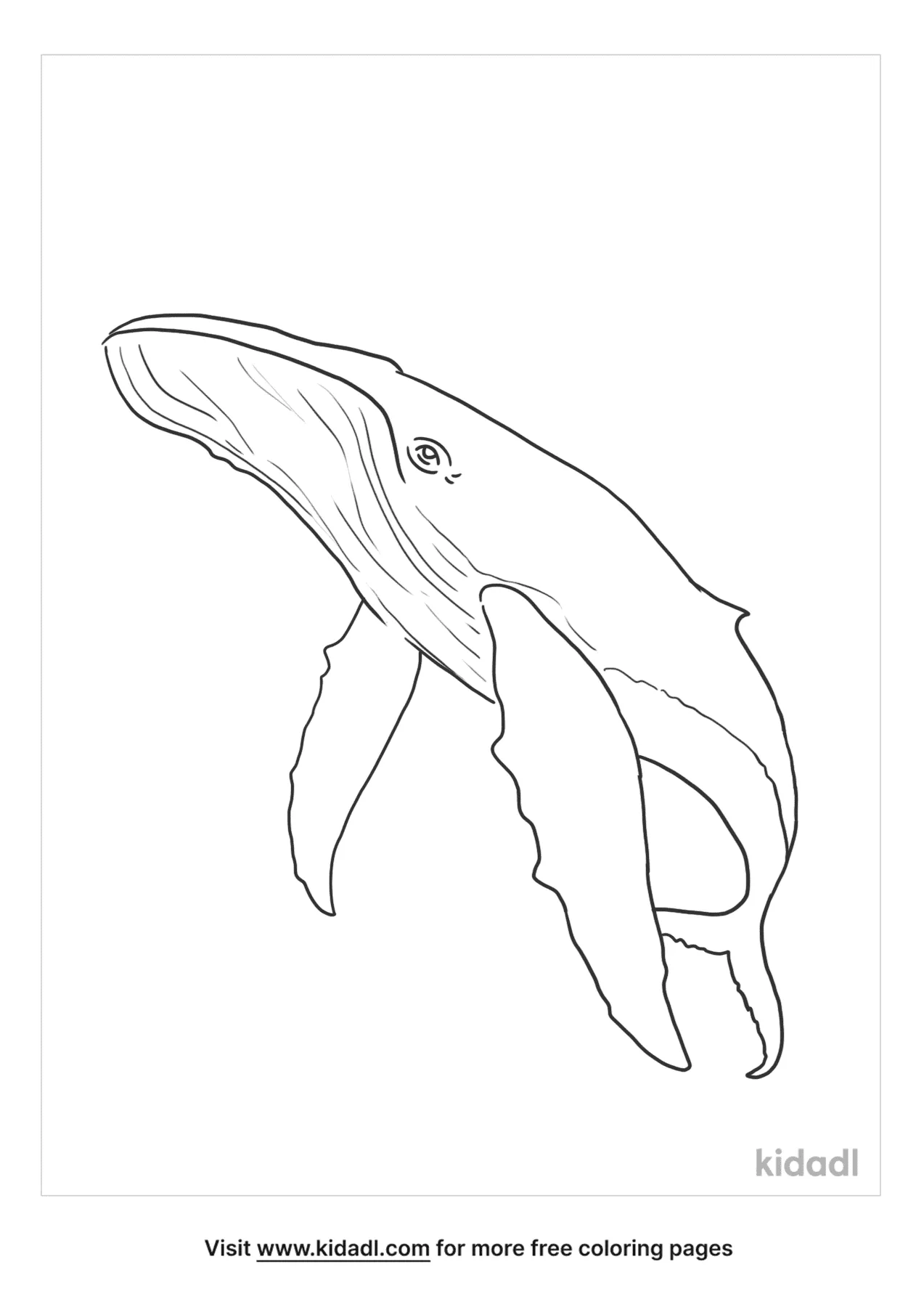 humpback whale coloring pages