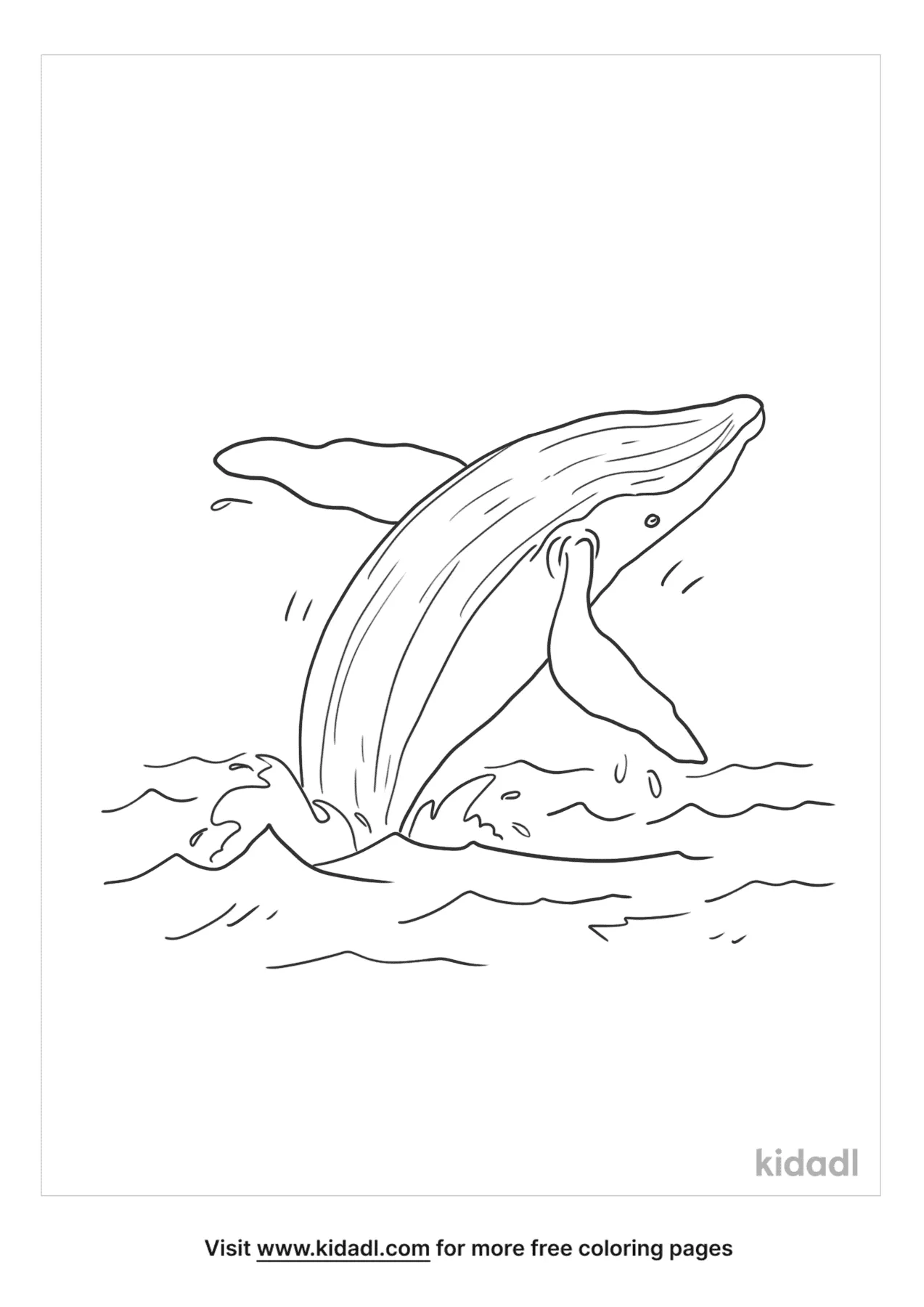 humpback whale coloring pages