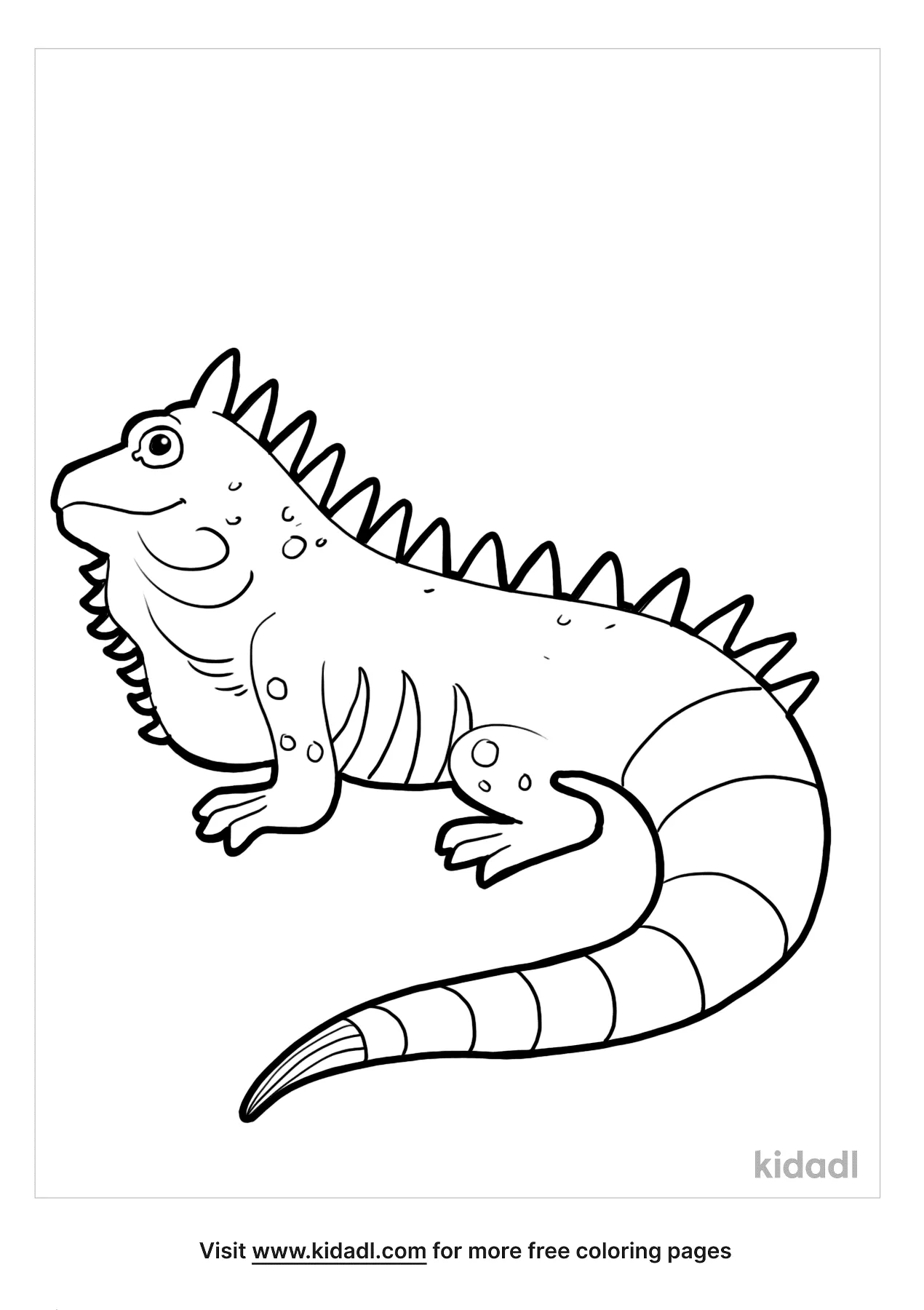 Iguana Coloring Pages Free Animals Coloring Pages Kidadl