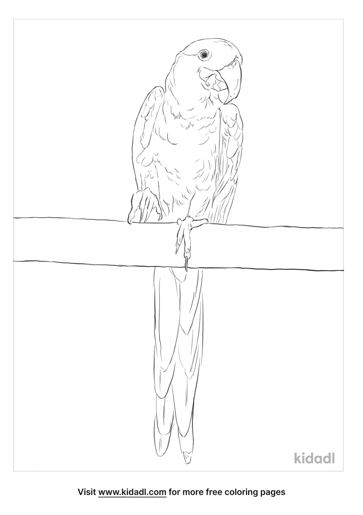 blue and yellow macaw coloring page