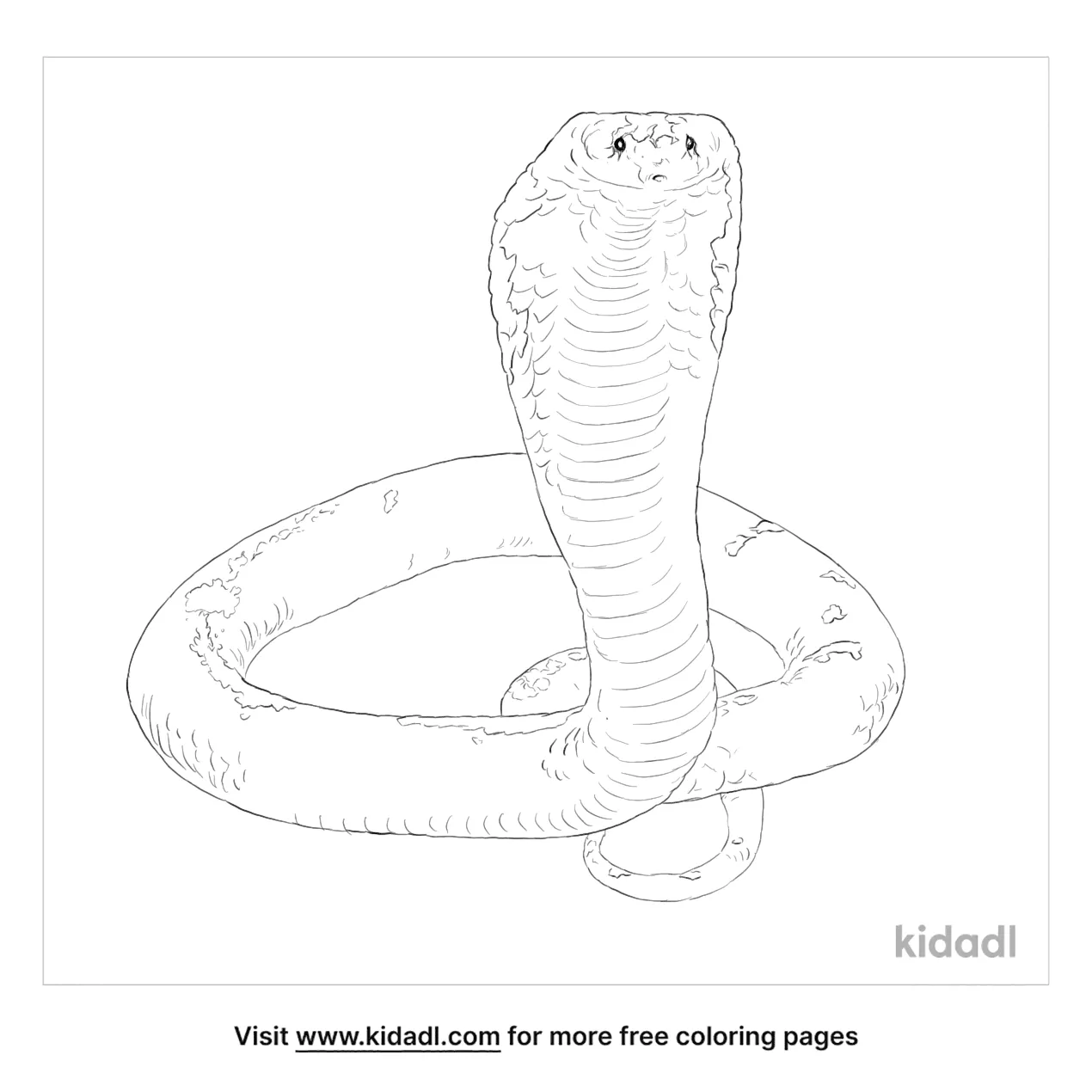 Spitting Cobra Coloring Pages 9333