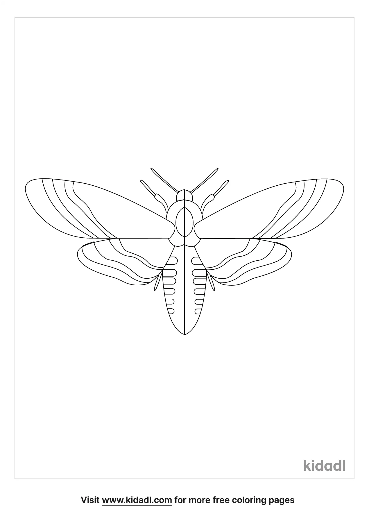 free insect coloring pages