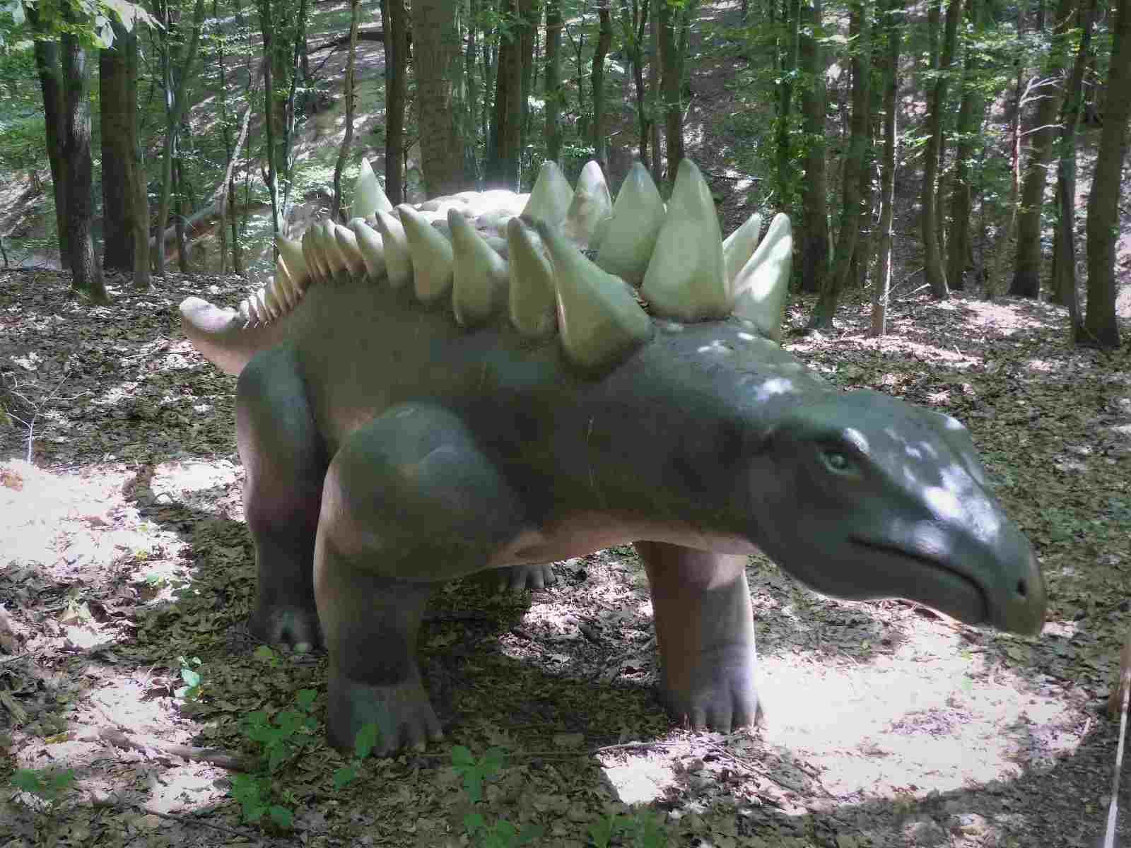 Know all about Hungarosaurus habitat and size.