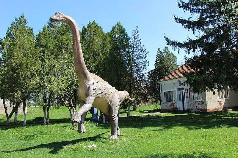 The Magyarosaurus is the smallest known Sauropod.
