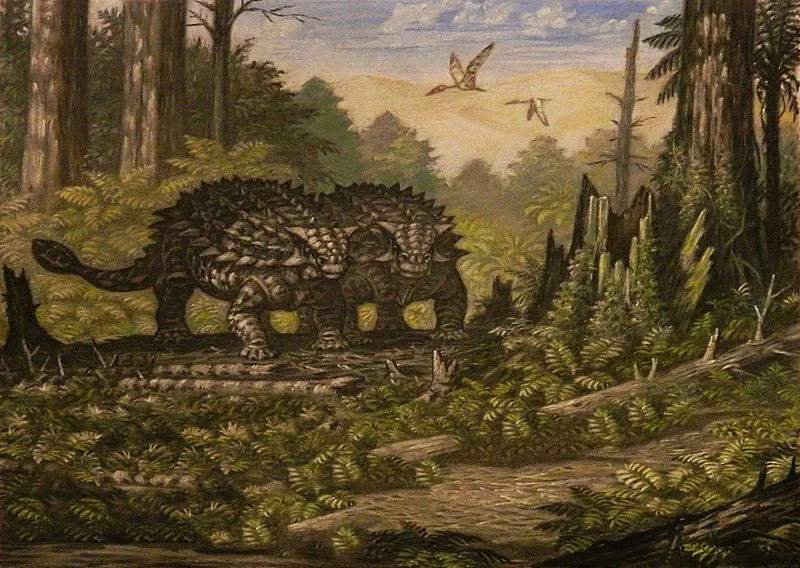 Palaeoscincus was an armored herbivorous dinosaur.