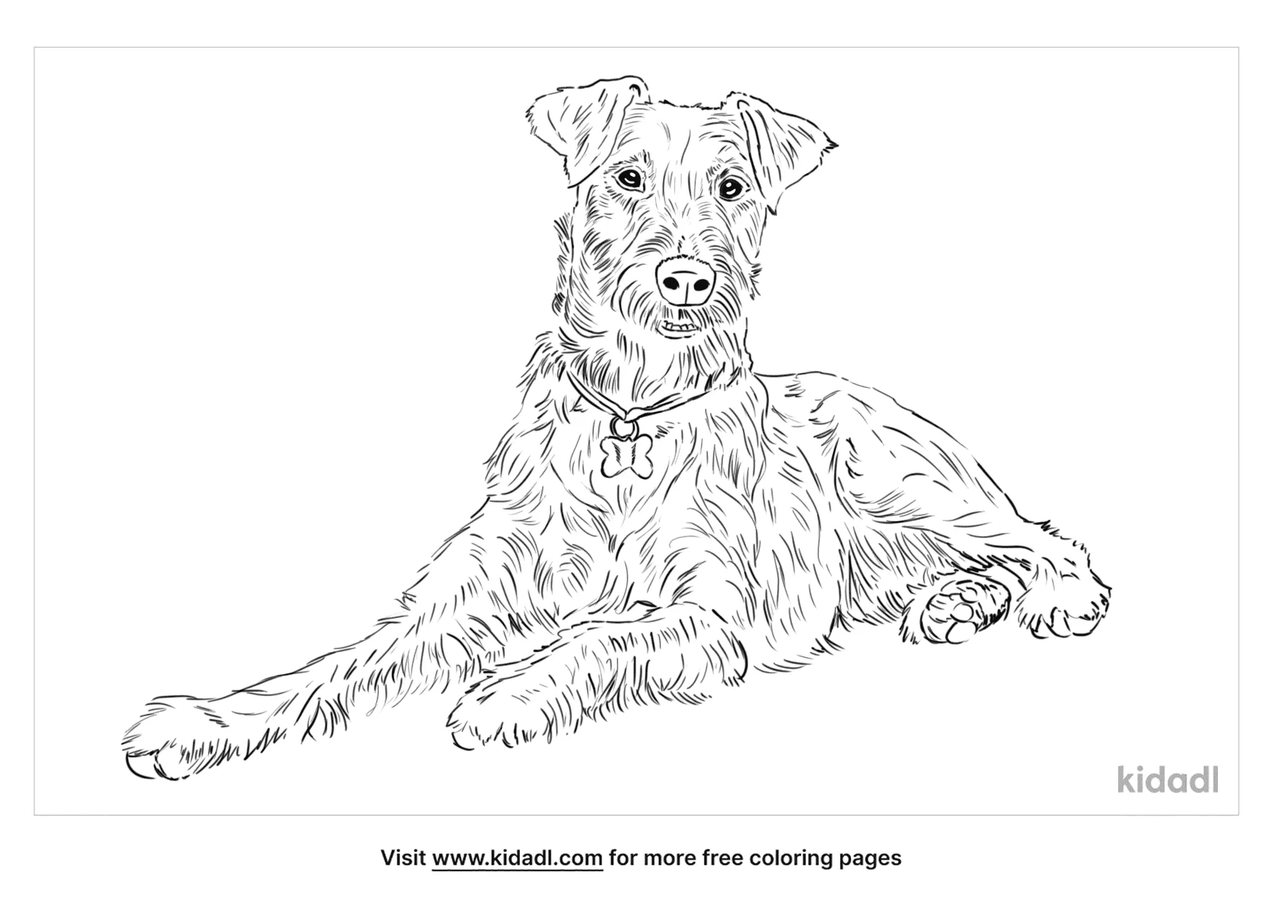 Irish Terrier Coloring Page