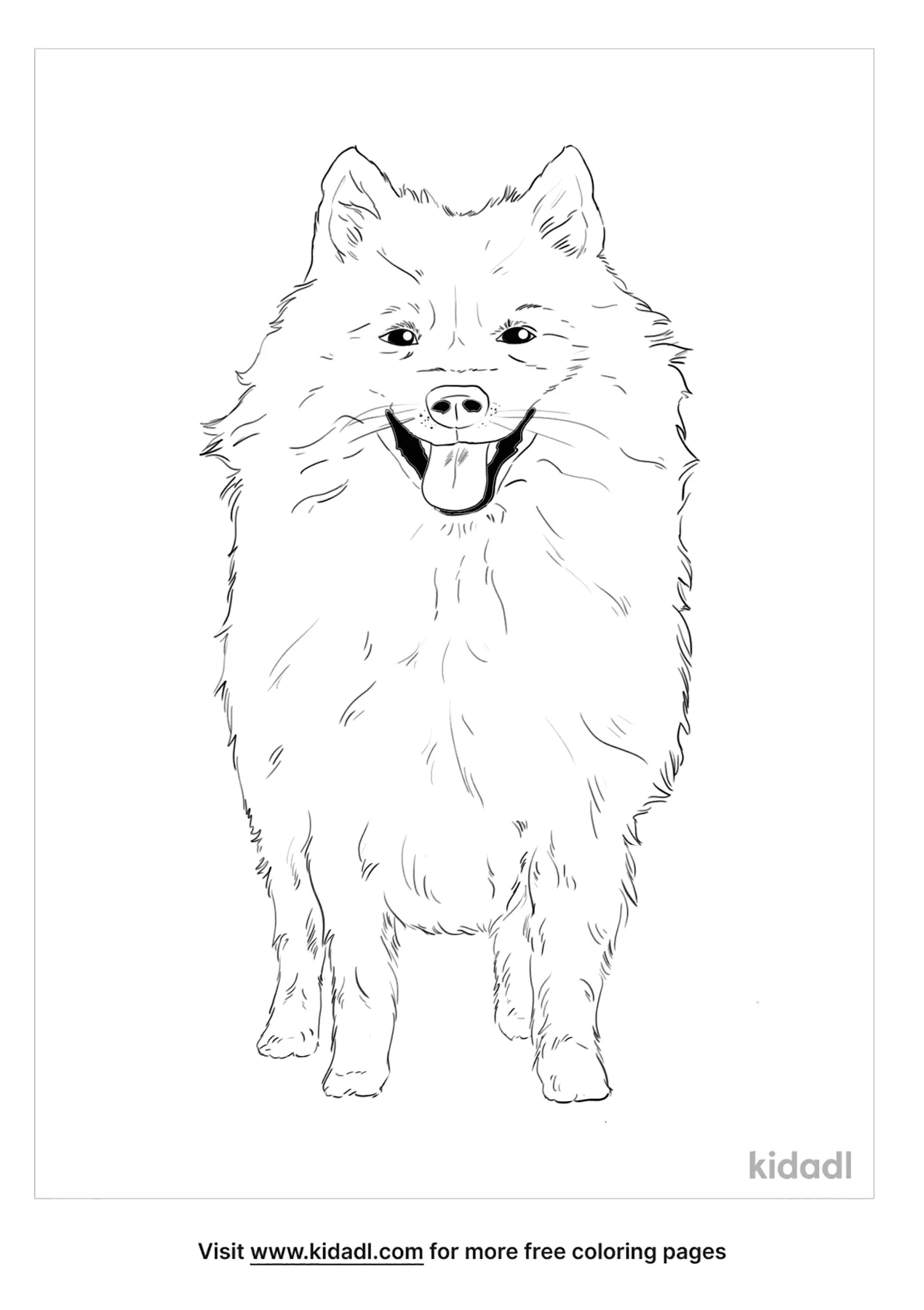 Japanese Spitz Coloring Page