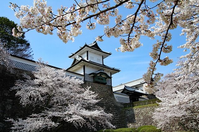 Cherry blossom is one of the popular plants from Japan.
