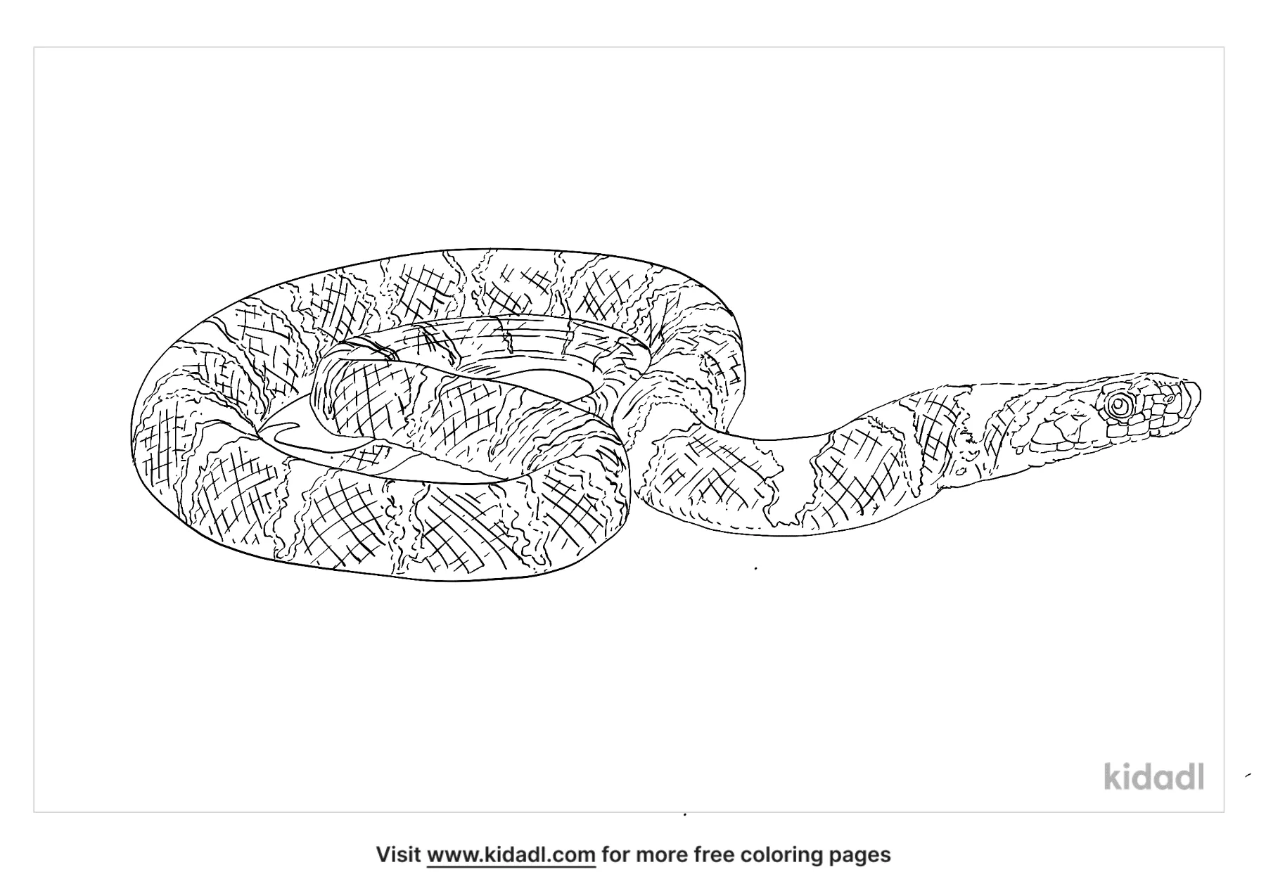 Kukri Snake Coloring Page
