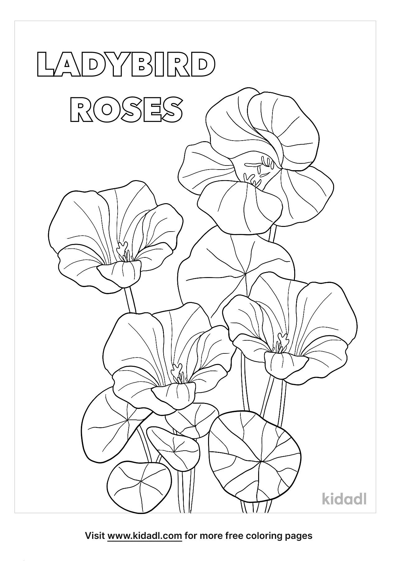 wood violet coloring pages
