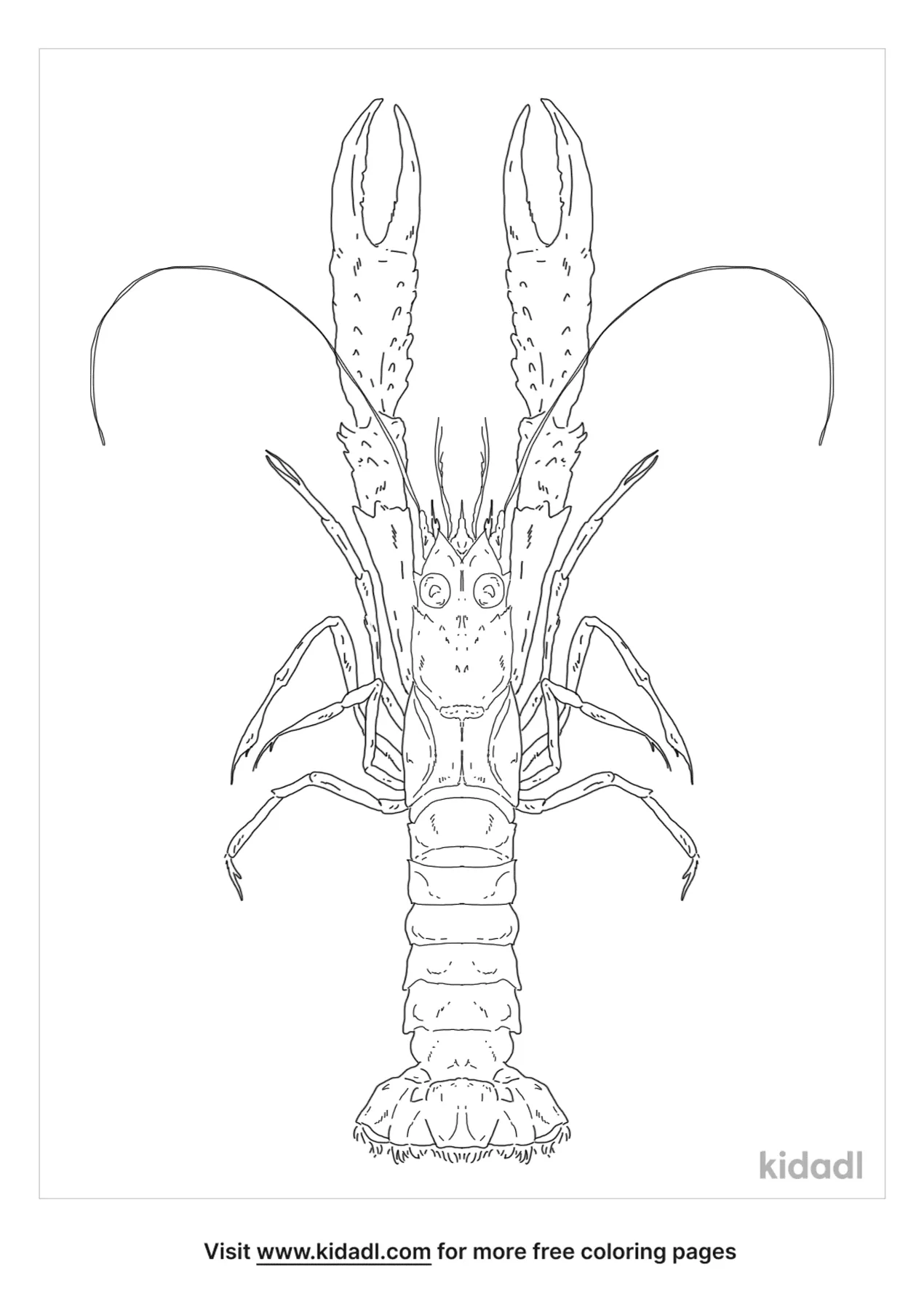 Free Langoustine Coloring Page | Coloring Page Printables | Kidadl