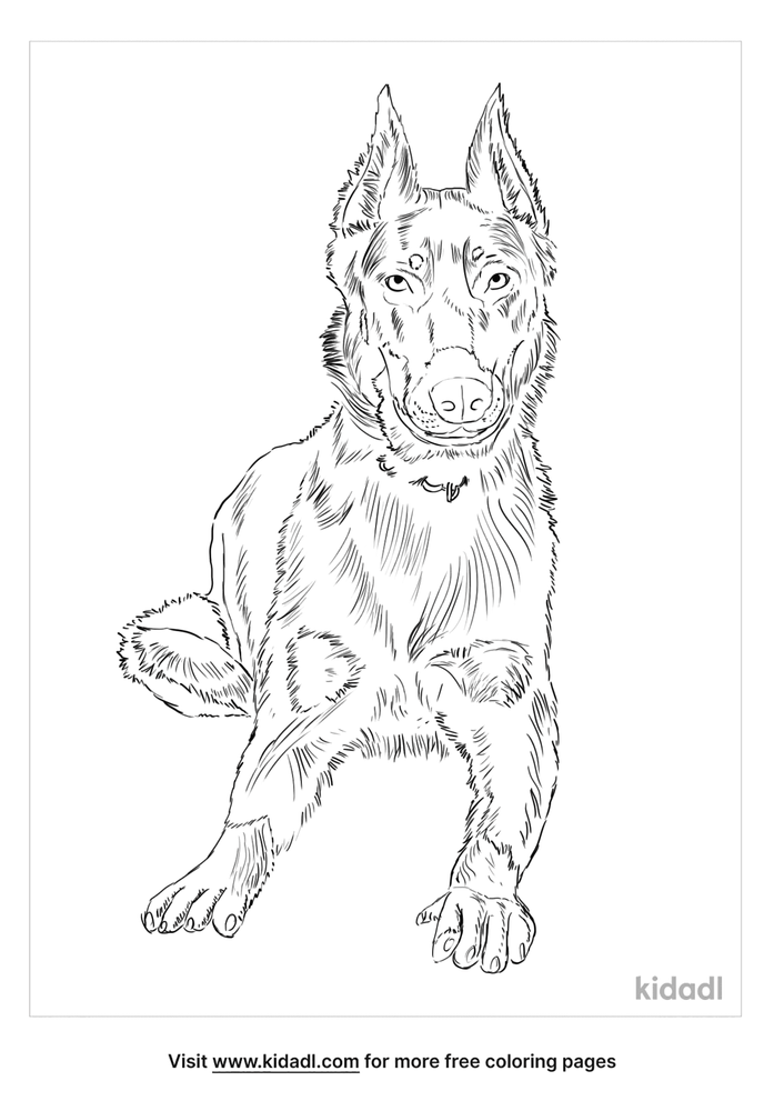 Beauceron Coloring Page | Free Dogs Coloring Page | Kidadl
