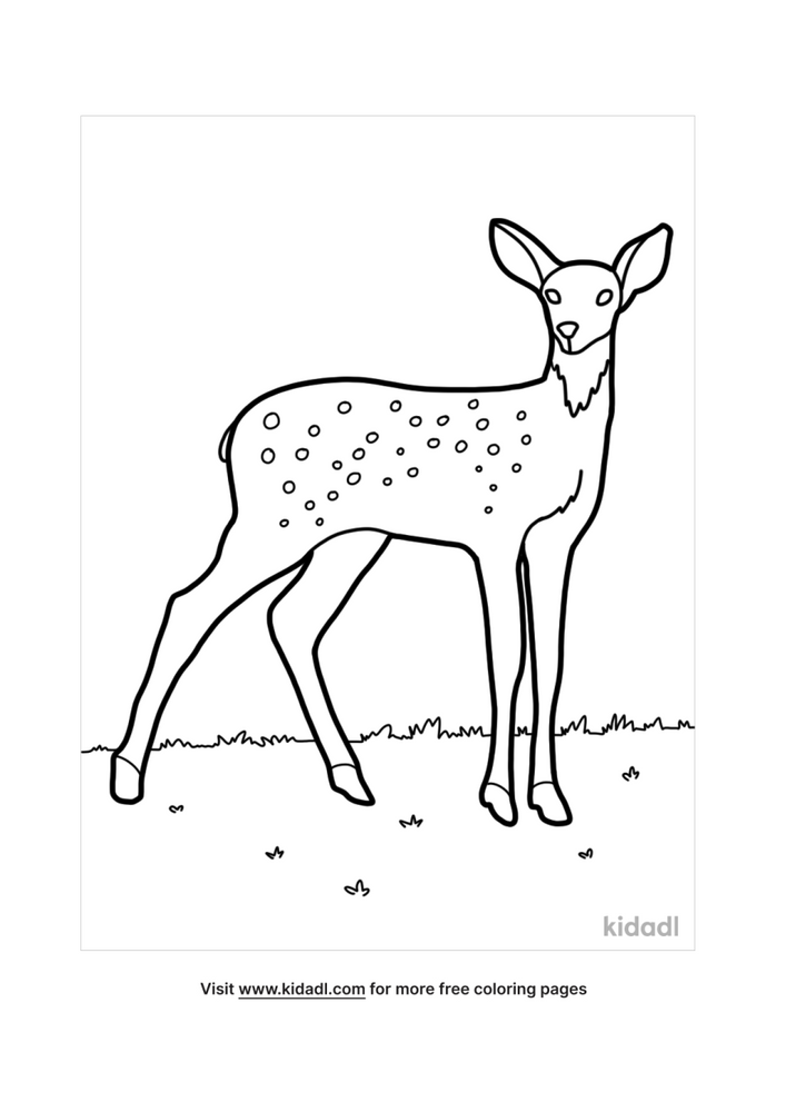 deer coloring pages free mammals coloring pages kidadl