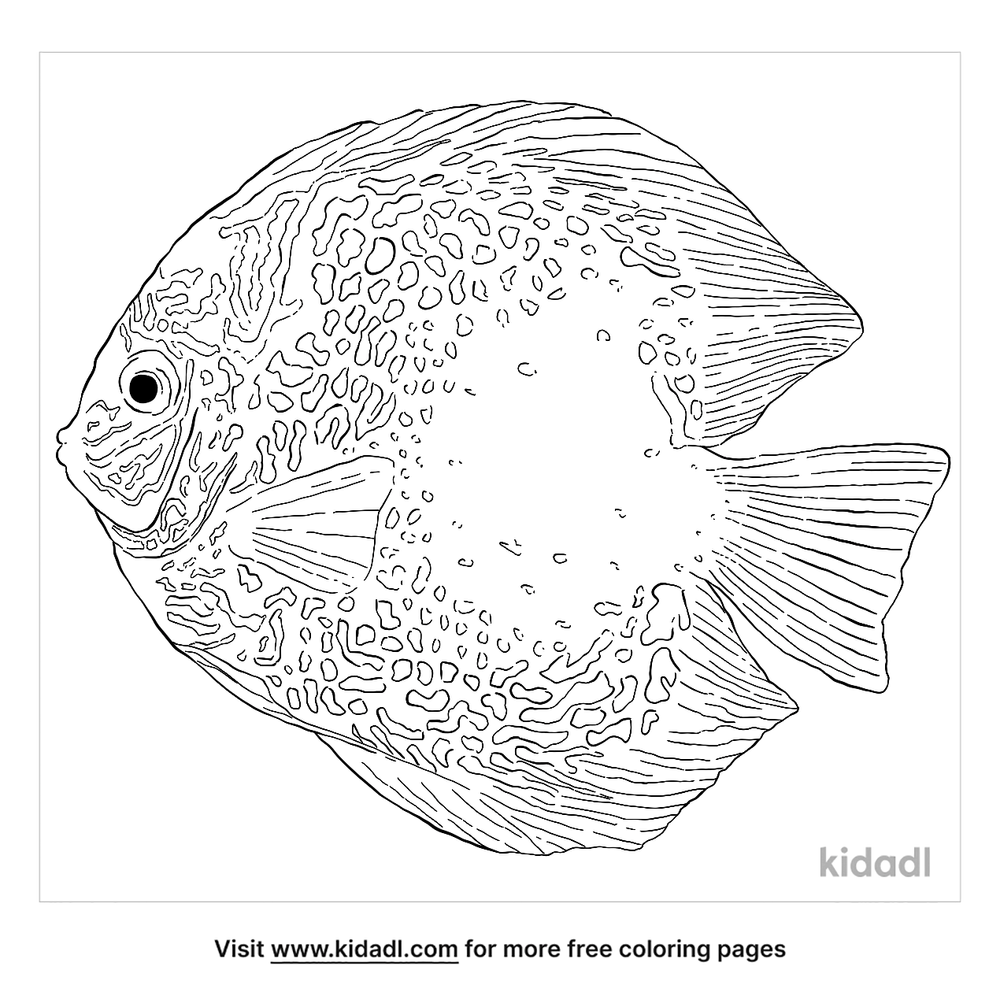Discus Coloring Page Animals Town Free Discus Color S - vrogue.co