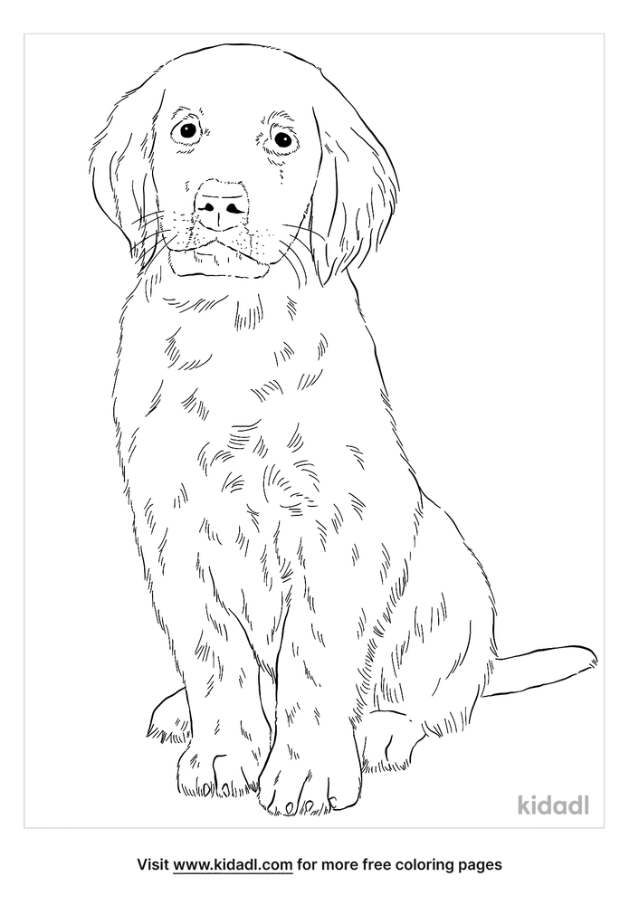 Golden Retriever Pitbull Mix Coloring Page | Free Dogs Coloring Page ...