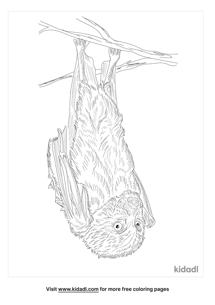 Greater Monkey-Faced Bat Coloring Page | Free Mammals Coloring Page ...