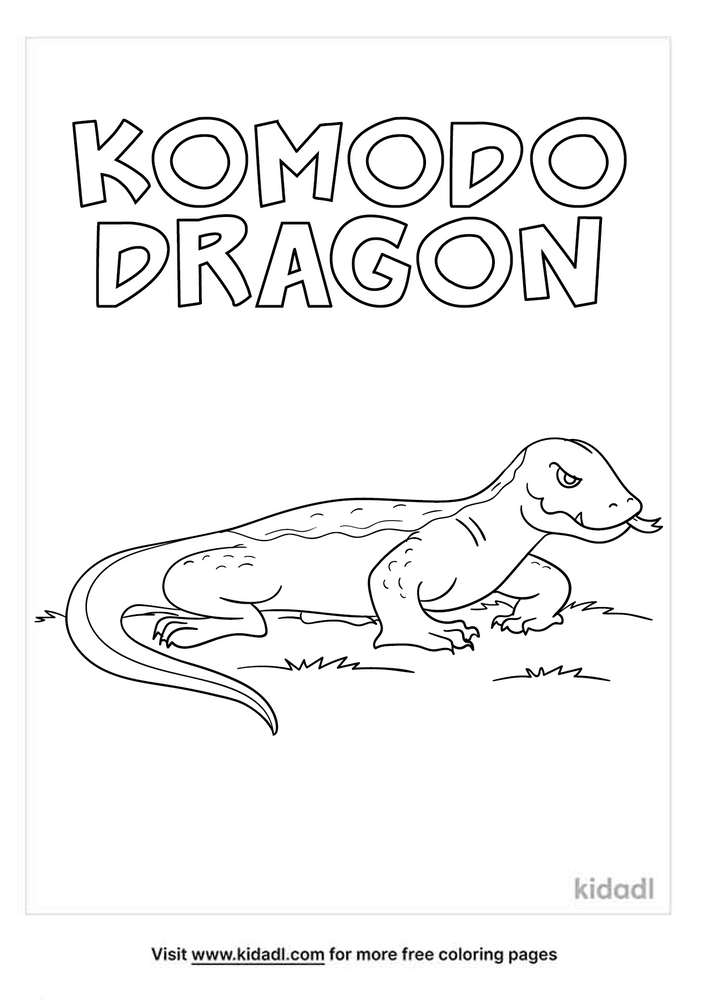 Komodo Dragon Coloring Picture Parrot On Coconut Tree - vrogue.co