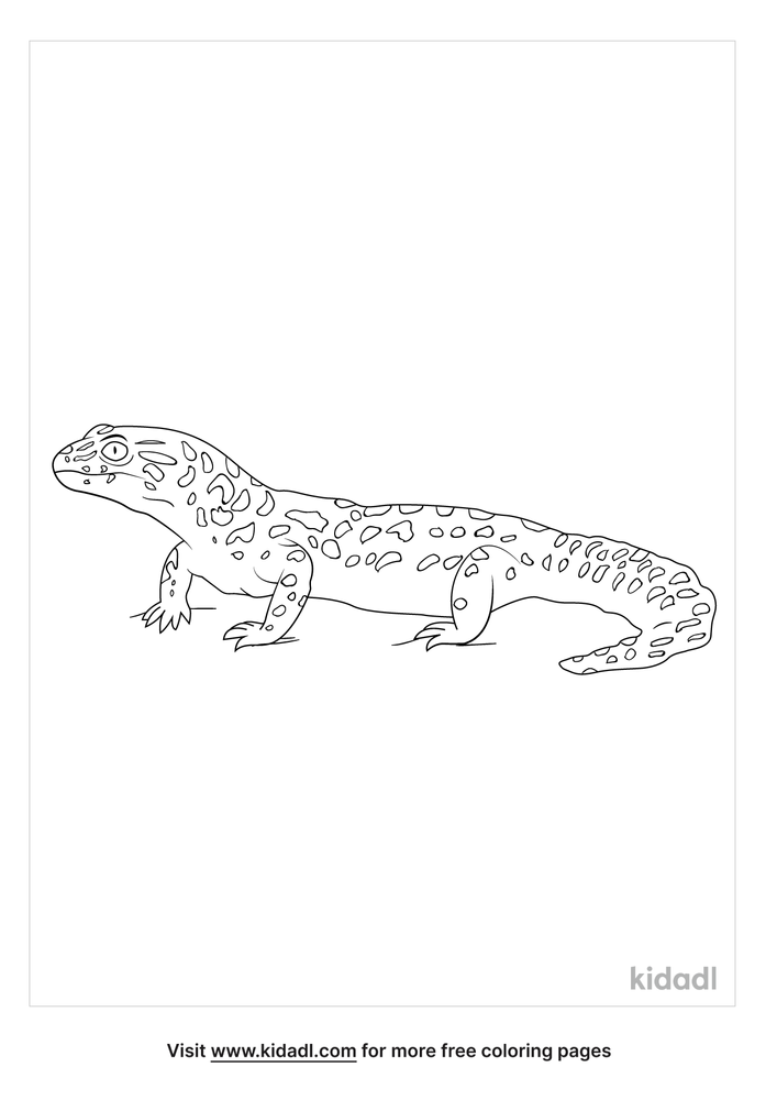 Realistic Gecko Coloring Page Free Reptiles Coloring Page Kidadl