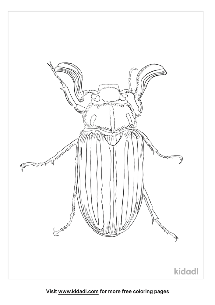 Ten-Lined June Beetle Coloring Page | Free Bugs Coloring Page | Kidadl