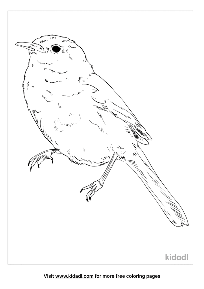 Uguisu Coloring Page | Free Birds Coloring Page | Kidadl