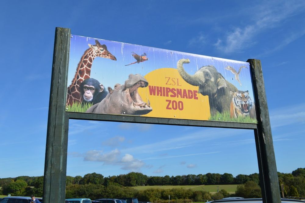 whipsnade safari park